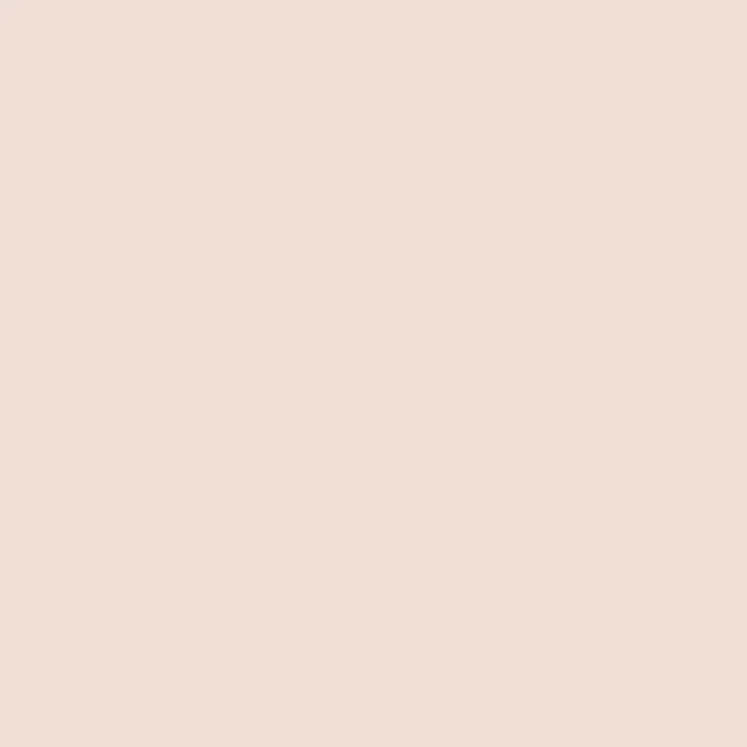 rose-white-7126927